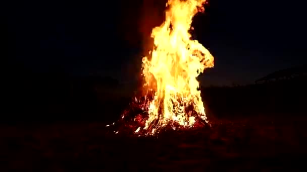 夜の夏の空を背景に 暗闇の中で燃えるたき火の明るい炎 火で枝を燃やし炎の舌 農夫は炎に従う 農業作品 — ストック動画