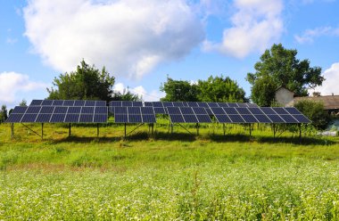 Rüzgarda sallanan küçük papatya çiçekleri olan büyük bir çimenlik güneş panellerinin arka planında sallanıyor. İlaç bitkileri. Zengin mavi yaz gökyüzü. Yaşayan doğayı modern teknolojilerle güçlendirmek.