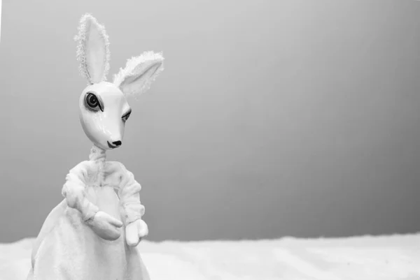 Little white bunny. A doll is a character in a puppet show. Place for signature.