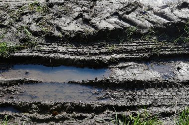 Bataklıktaki traktör tekerleklerinin tek renkli lastik izleri. Kırsal arazi yolu, hepsi bataklıkta. Bataklıkta lastik izleri.