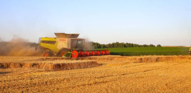 Ternopil bölgesi. Ukrayna. Ağustos 2025. Hasadı birleştiren hasatçı yaz akşamının başında buğday topluyor. Toz bulutu, sarı buğday, akşam bulutlu gökyüzü. İyi bir hasat kavramı.