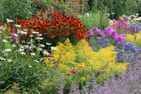 Smíšené Bylinné Trvalky Květinové Záhony Zahradě Rozmazaným Pozadím Rostlin Červenou — Stock fotografie