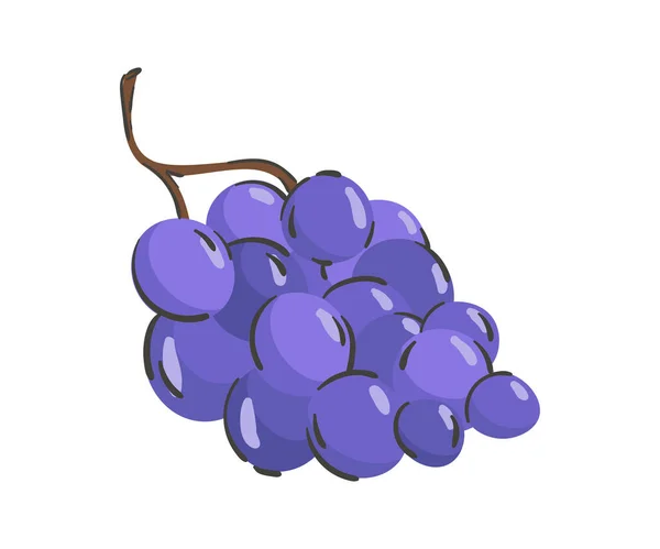 Hand Drawn Grape Isolated White Background Vector Illustration Colorful Minimalistic — 스톡 벡터