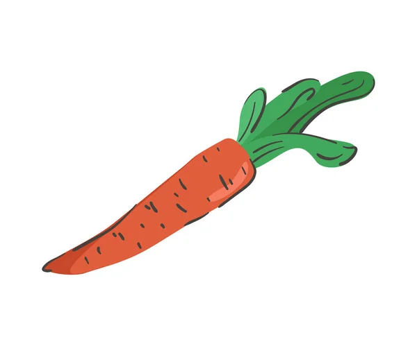 Hand Drawn Carrot Isolated White Background Vector Illustration Colorful Minimalistic — Vetor de Stock