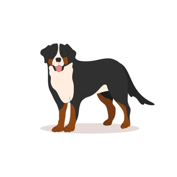 Cão Gado Appenzel Engraçado Coleção Cães Ilustração Vetorial Cães Raças —  Vetores de Stock