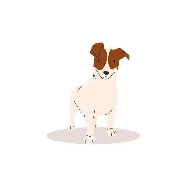 Komik Jack Russell Terrier Köpek Koleksiyonu Şirinliğin Vektör Çizimi Köpekleri — Stok Vektör