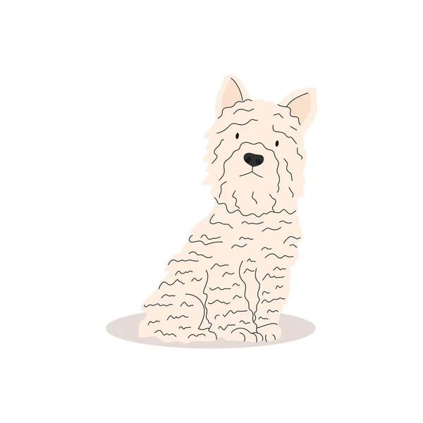 Komik Ciddi Bir Fino Köpeği Köpek Koleksiyonu Şirinliğin Vektör Çizimi — Stok Vektör