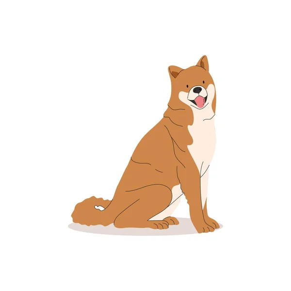 Komik Mutlu Şiba Inu Köpek Koleksiyonu Şirinliğin Vektör Çizimi Köpekleri — Stok Vektör