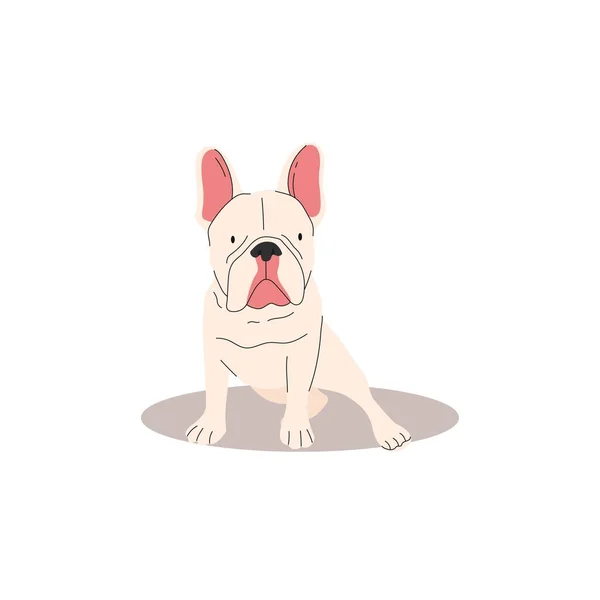 Komik Sevimli Fransız Bulldog Köpek Koleksiyonu Şirinliğin Vektör Çizimi Köpekleri — Stok Vektör