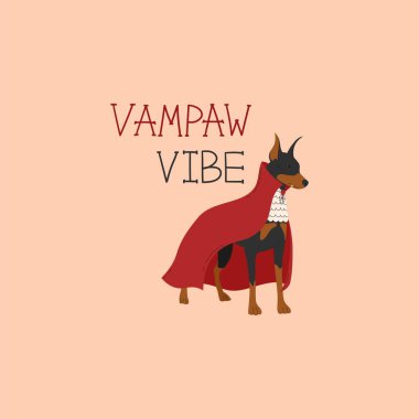 Vampir Cadılar Bayramı kostümü giymiş Doberman pinscher. Mutlu Cadılar Bayramı vektör illüstrasyonu. Şirin tanrılar çoğalır. Elle çizilmiş komik harfler. Tatil kartları, dekorasyonlar, davetiyeler ve çıkartmalar için ideal