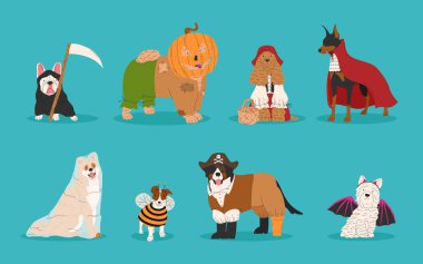 Farklı Cadılar Bayramı kostümlü şirin köpekler. Hayalet, vampir, korsan, yarasa, küçük kız ve korkuluk. Mutlu Cadılar Bayramı vektör illüstrasyonu. Tatil kartları, dekorasyonlar, davetiyeler ve çıkartmalar için ideal