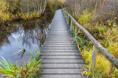 Doğal ahşap çitli ahşap kaldırım ve doğanın dışındaki korkuluklar.