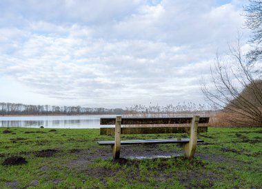 Parçalı bulutlu bir gökyüzünün altında ağaçlar ve sazlıklar olan bir göle bak. Ön planda ahşap bir bank