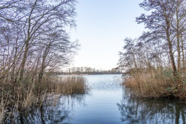 Parçalı bulutlu bir gökyüzünün altında ağaçlar ve sazlıklar olan bir göle bak.