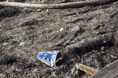Plajdaki kurumuş yosunların üzerindeki çöp ve plastik kirliliği