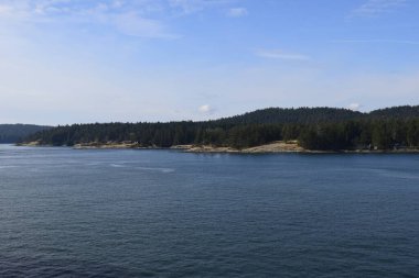 Britanya Kolumbiyası, Kanada 'da sakin su ve ağaçların okyanus manzarası