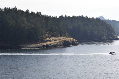 Tekne yaprakları bulutlu bir günde karada ağaçlarla uyanır.