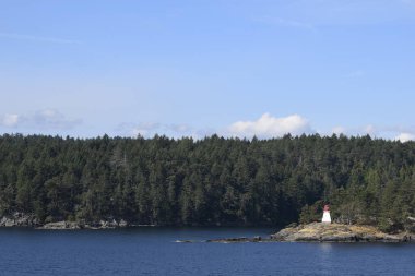 Güneşli bir günde ağaçların yakınındaki kayalık adada kırmızı ve beyaz deniz feneri duruyor.