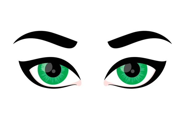 Katzenaugen Make Icon Vektor Schöne Grüne Weibliche Augen Und Augenbrauen — Stockvektor