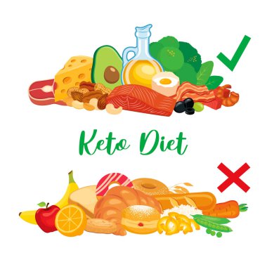 Ketogenik diyet yiyecek listesi vektörü. Keto diyeti evet ve hayır gıda çizimi. Yüksek yağ, düşük karbonhidrat diyet vektörü. Ketojenik diyet çizimine iyi gelir. Sağlıklı yağlı yiyecekler hala yaşam ikonu taşıyıcısı