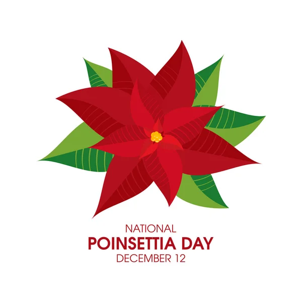 Ulusal Poinsettia Günü Vektörü Noel Yıldızı Noktalı Çiçek Ikonu Vektörü — Stok Vektör