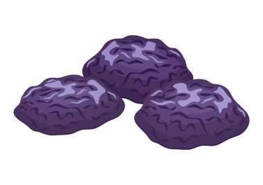 Kurutulmuş erik ikonu kümesi vektörü. Beyaz arkaplanda erik ikonu vektörü izole edildi. Kurumuş kuru erik yığını çizimi