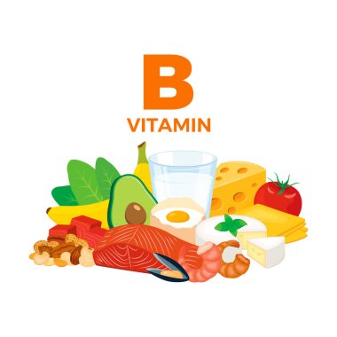 Vitamin B in food icon vector. Vitamin B food sources vector illustration isolated on a white background. Meat, milk, egg, cheese, seafood, nuts vector. Pile of healthy fresh food drawing
