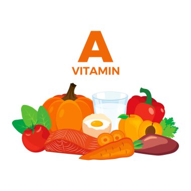 Vitamin A in food icon vector. Vitamin A food sources vector illustration isolated on a white background. Carrot, fruits, vegetables, liver, meat, milk, egg vector. Pile of healthy fresh food drawing