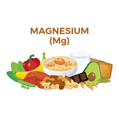 Magnesium (Mg) in food icon vector. Magnesium food sources vector illustration isolated on a white background. Nuts, oat, seeds, chocolate, avocado vector. Pile of healthy fresh food drawing