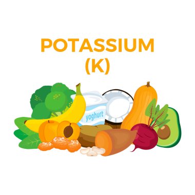 Potassium (K) in food icon vector. Potassium food sources vector illustration isolated on a white background. Potato, apricot, broccoli, beetroot, butternut vector. Pile of healthy fresh food drawing