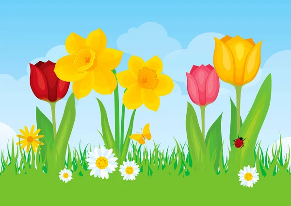 晴れた日のベクトルイラストに花と新鮮な春の牧草地 晴れた日のベクトルに水仙やチューリップと美しい春の牧草地 雲と明るい春の風景 — ストックベクタ