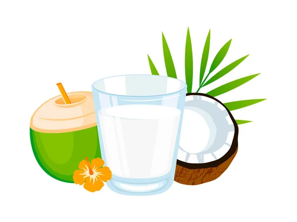 一杯椰奶病媒图解 以植物为基础的牛奶替代品绘图 一杯椰子水和新鲜椰子的一半病媒 蔬菜牛奶 褐色和绿色半边椰子病媒 — 图库矢量图片