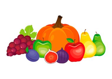 Sonbahar hasadı meyvesi hala yaşam vektör çizimi. Taze elma, armut, balkabağı, üzüm, erik, incir ağacı seti vektörü beyaz arka planda izole edilmiş. Sonbahar meyveleri yığını