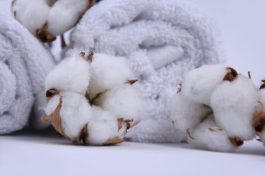 Beyaz pamuk çiçekleri ve havlular natürmort fotoğraf görüntüleri içerir. Beyaz arka planda havlular ve pamuk çiçekleriyle kaplıca ve sağlık seti. Beyaz spa-konsept stok resimleri