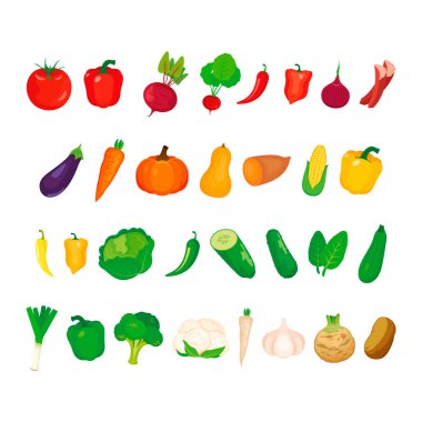 Sağlıklı çiğ sebzelerin farklı türleri. Taze sebze simgesi beyaz arkaplanda izole edilmiş vektör. Sebze koleksiyonu çizimi