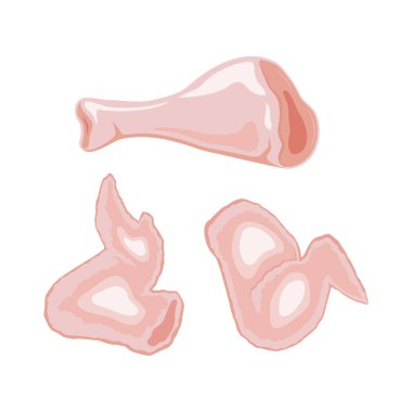 Çiğ tavuk bacağı ve kanat ikonu vektörü. Çiğ kümes hayvanları et simgesi beyaz zemin üzerinde izole edilmiş vektör. Tavuk kanatları ve but çizimleri.