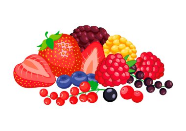 Pile of different berries vector illustration. Fresh berry fruit icon set vector isolated on a white background. Strawberries, raspberries, blueberries, cranberries, red currants drawing