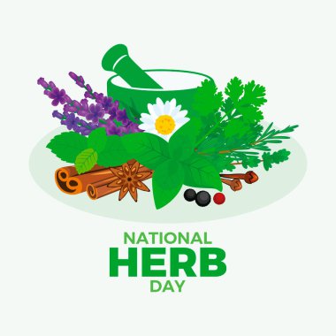 Ulusal Bitkiler Günü poster illüstrasyonu. Taze bitkiler, baharatlar, havan topu ve tokmak ikonu taşıyıcısı. Arkaplan, afiş, kart şablonu. Mayısta her yıl. Önemli bir gün.