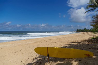 Canlı sarı bir sörf tahtası, açık gökyüzü ve kabarık bulutların altında okyanus kenarına yakın bir kumsalda dinleniyor.