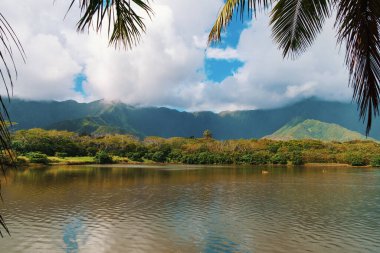 Uzakta dağları yansıtan sakin bir göl ve açık bir gökyüzünün altında sallanan palmiye ağaçları.