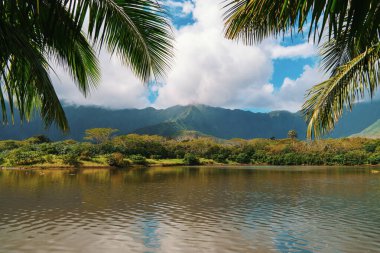 Arka planda dağlar ve ön planda palmiye ağaçları olan güzel bir göl manzarası büyüleyici bir doğal manzara yaratıyor.