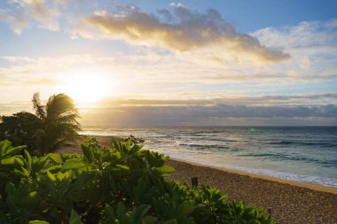 Güneş, okyanusun üzerinde huzur içinde batıyor. Bu güzel manzaranın ön planında palmiye ağacına sıcak bir parıltı yayıyor.