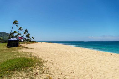 Açık mavi bir gökyüzünün arka planında palmiye ağaçlarıyla kaplı manzaralı kumlu bir sahil hayal edin. Huzurlu, doğal bir manzara yaratıyor. Sakinleştirici bir seyahat deneyimi için mükemmel.