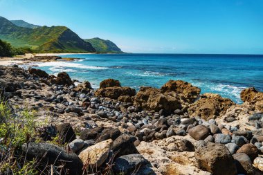 Arka planda dağlar ve ön planda okyanus tarafından çerçevelenmiş kayalık bir sahilin güzel bir sahnesi, sakin bir doğal manzara yaratıyor.