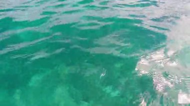 Bu video, suyun dingin güzelliğini gösteriyor. Yumuşak okyanus dalgalarının yakın çekimleri ve doğada süzülen bir yüzücü doğadaki neşeyi vurguluyor.