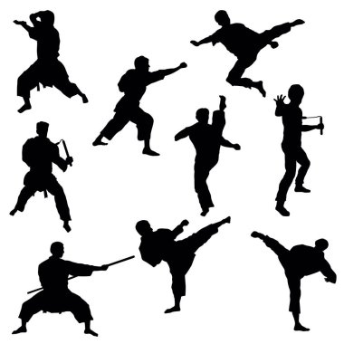 Silhouettes of Karate Isolated on the white background