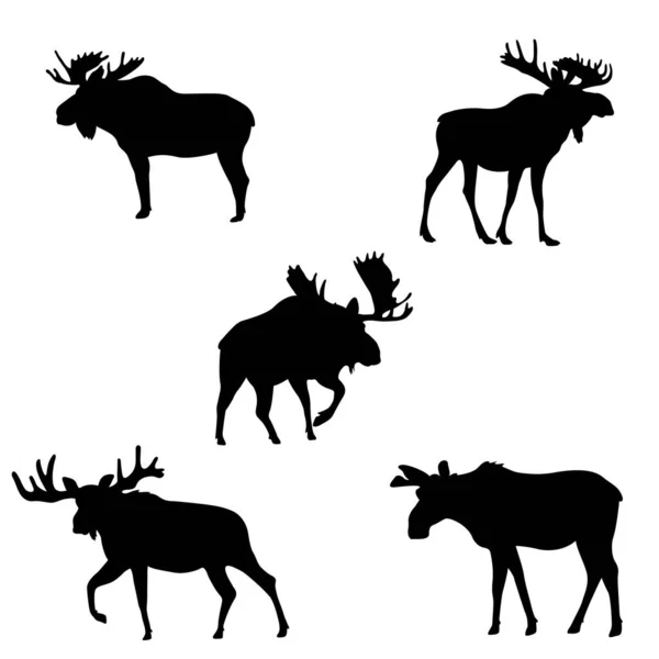 Set Moose Silhouettes Isolated White Background Telifsiz Stok Vektörler