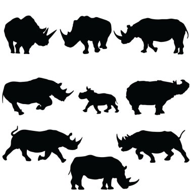 Set of Rhinoceros Silhouettes isolated on the white background