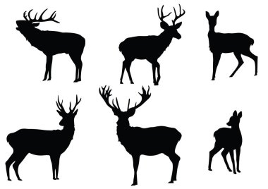 Geyik Silüetleri beyaz arkaplanda izole edildi