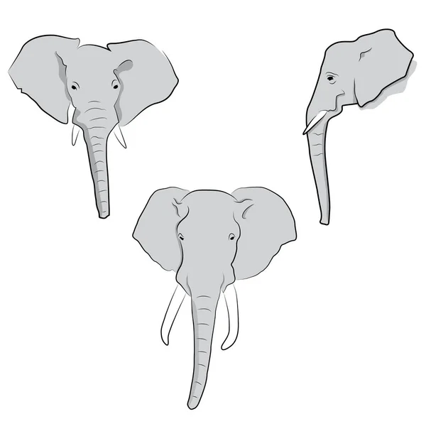Illustration Têtes Éléphant Sur Fond Blanc — Image vectorielle